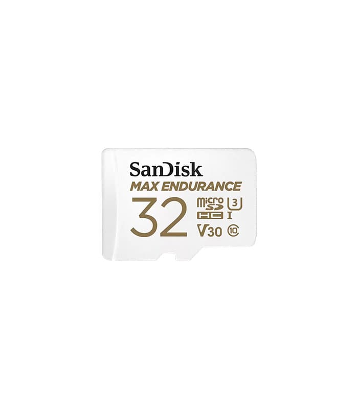 sandisk max endurance 1
